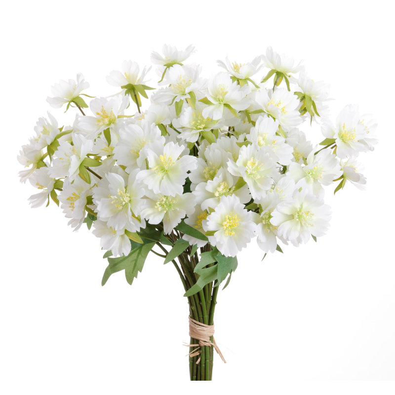 DAISY BUNDLE 24 STEMS SET OF 12