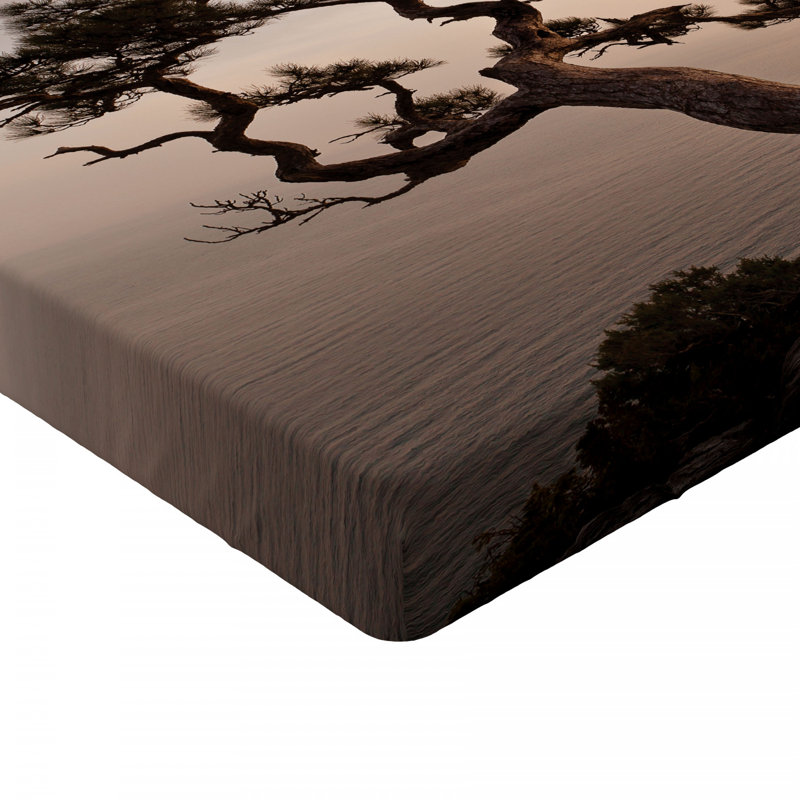 Microfiber Fitted Sheet, Queen Fitted Sheet