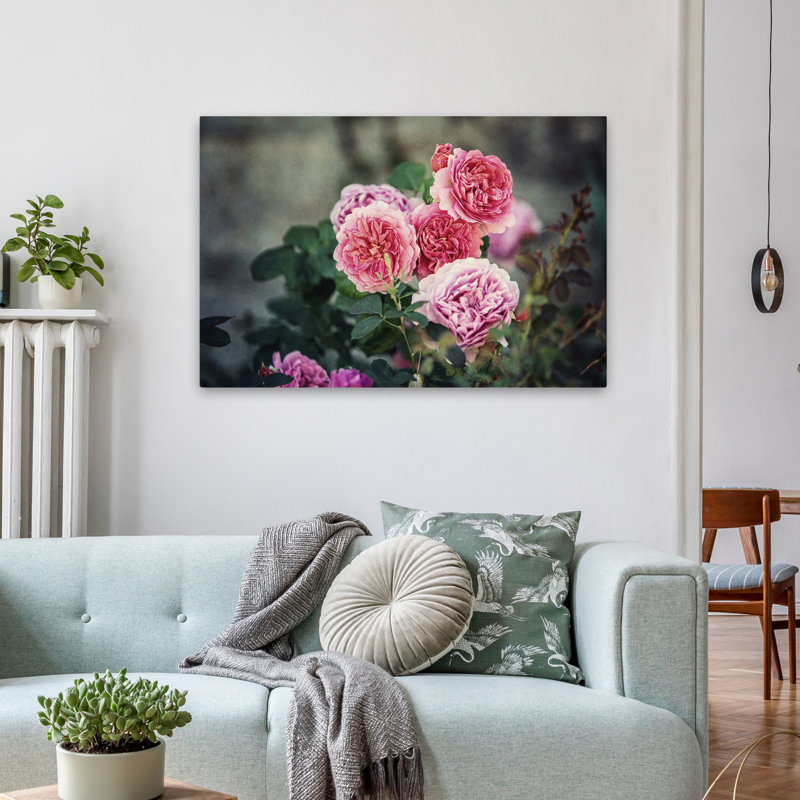 Plantes, fleurs, roses d'Ecosse I, art mural, H 24 po x l 36 po