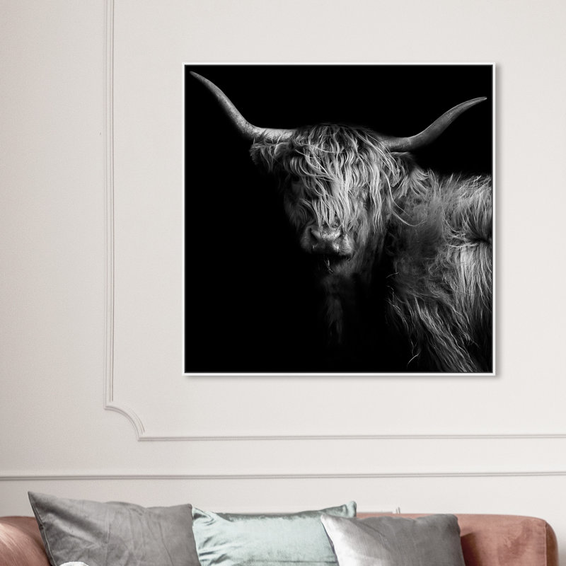 Realistic Black And White Highland Cow Photography Print by Oliver Gal, White Floater Framed, 41" H x 41" W