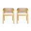 Ensemble de 2 chaises de salle à manger