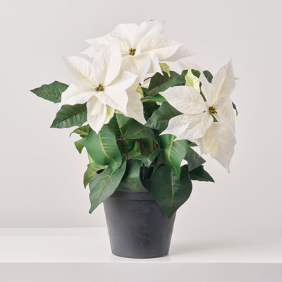 Bourre pour urne de Noël réaliste en forme de poinsettia blanc, petit
