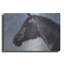 «Equine Encounter» par Robert Campbell-1970718750