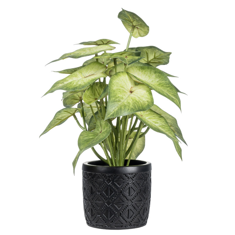 Artificial Plant