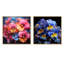 Neon Tropical Fantasy Pansys - Ensemble de 2 collages carrés-1346727860-1346727862