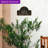 Fleur de Lis Address Plaque-387437219-387437229
