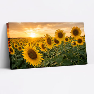 Champ de tournesol, reproduction d'art sur toile, ensemble de 1