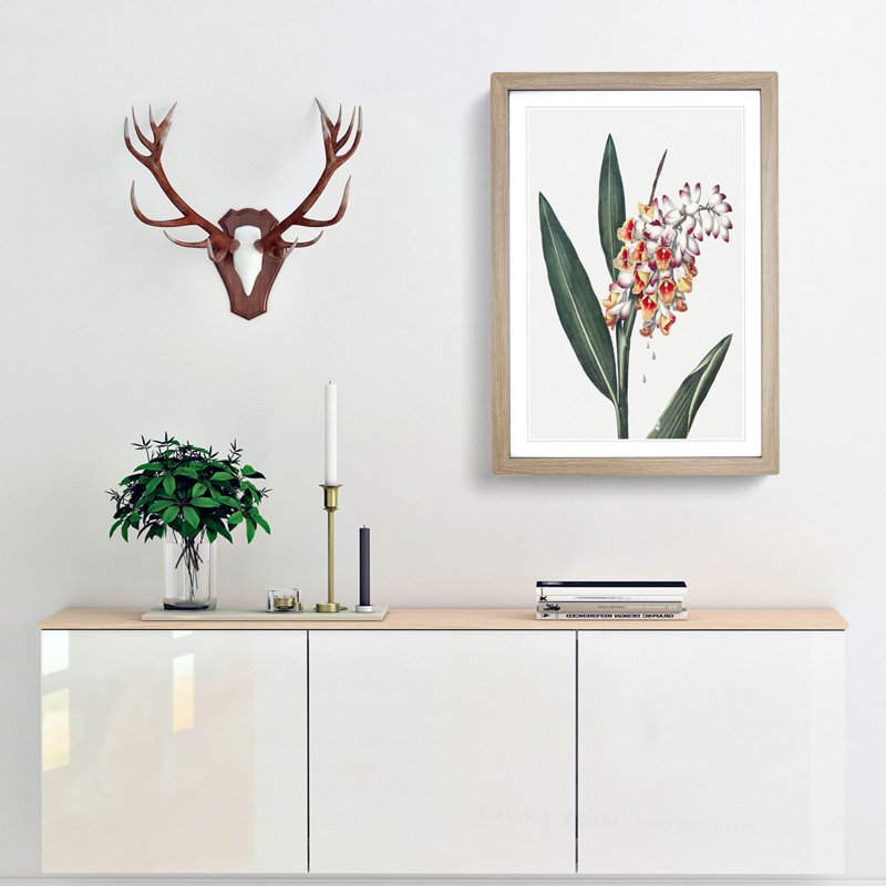 Renealmia Plant by R.J. Thornton - Picture Frame Painting Print, Oak Framed, 65cm H x 48cm W x 2cm D