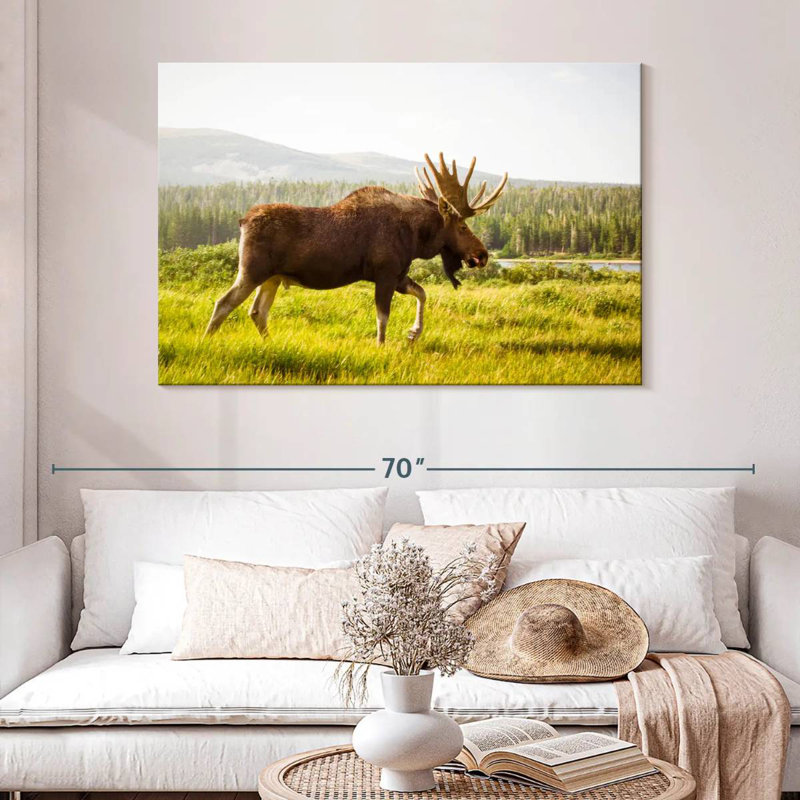 Crowle Grazing Wild Moose, 32" H x 48" W