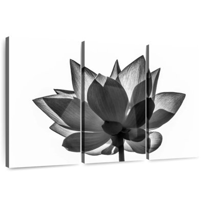 Harnek simple lotus