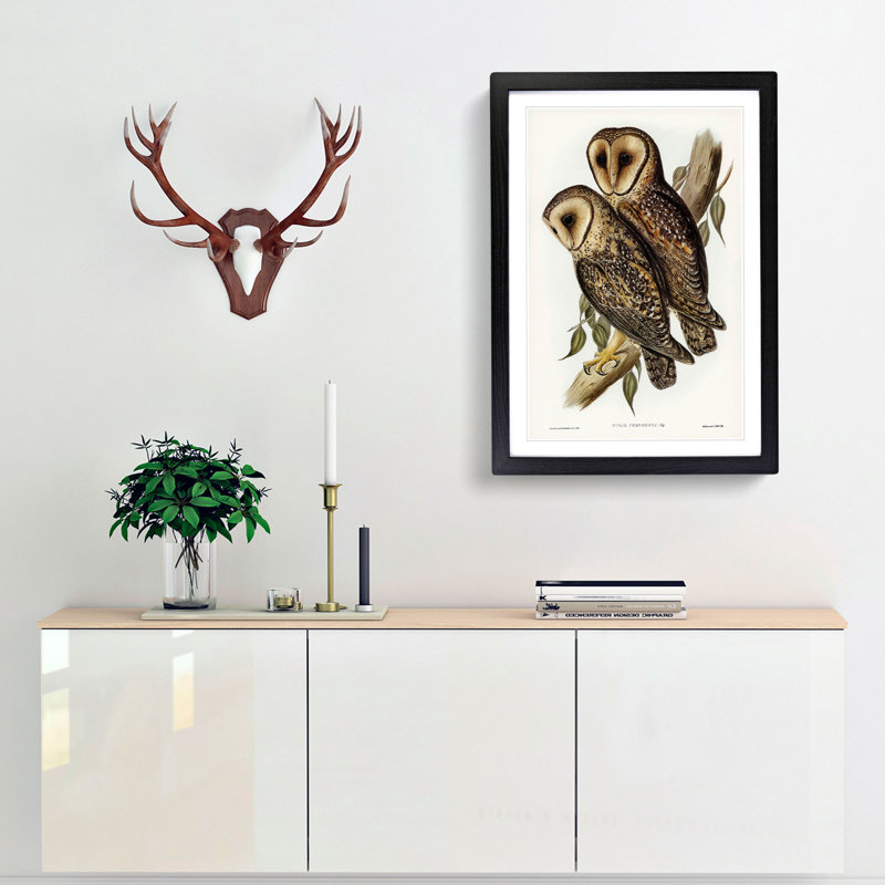 Masked Barn Owls by Elizabeth Gould - Framed Print, 65cm H x 48cm W x 2cm D, Black Framed
