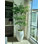 8 Ft Artificial Black Olive Tree with Real Wood Trunk – Lifelike Faux Indoor Floor Plant for Home or Office Decor