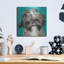 «Girly Shih Tzu» par Carolee Vitaletti-1369569383