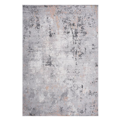 Collection  Non-Shedding Living Room Bedroom Dining Home Office Stylish And Stain Resistant Area Rug