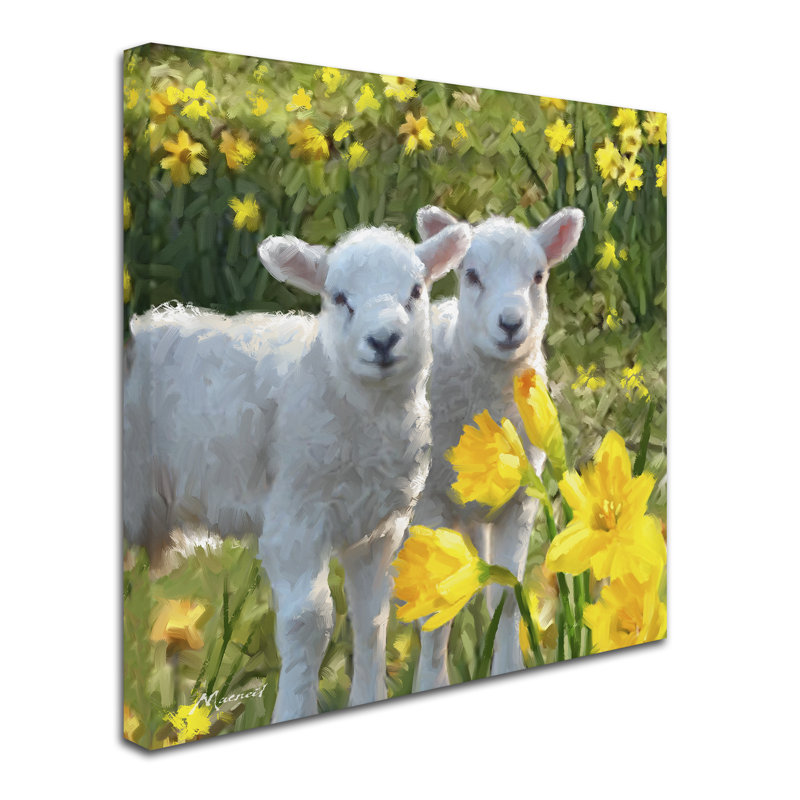 Armand 'Lambs' Print on Canvas, 24" H x 24" W x 2" D