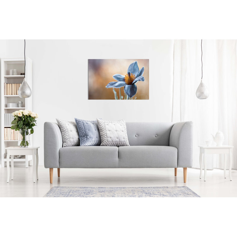 Blue Pasque Flower Floral Close Up Artistic - Wrapped Canvas Art Prints, 31cm H x 20cm W
