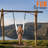 Steel Hammock Chair Stand-75456259