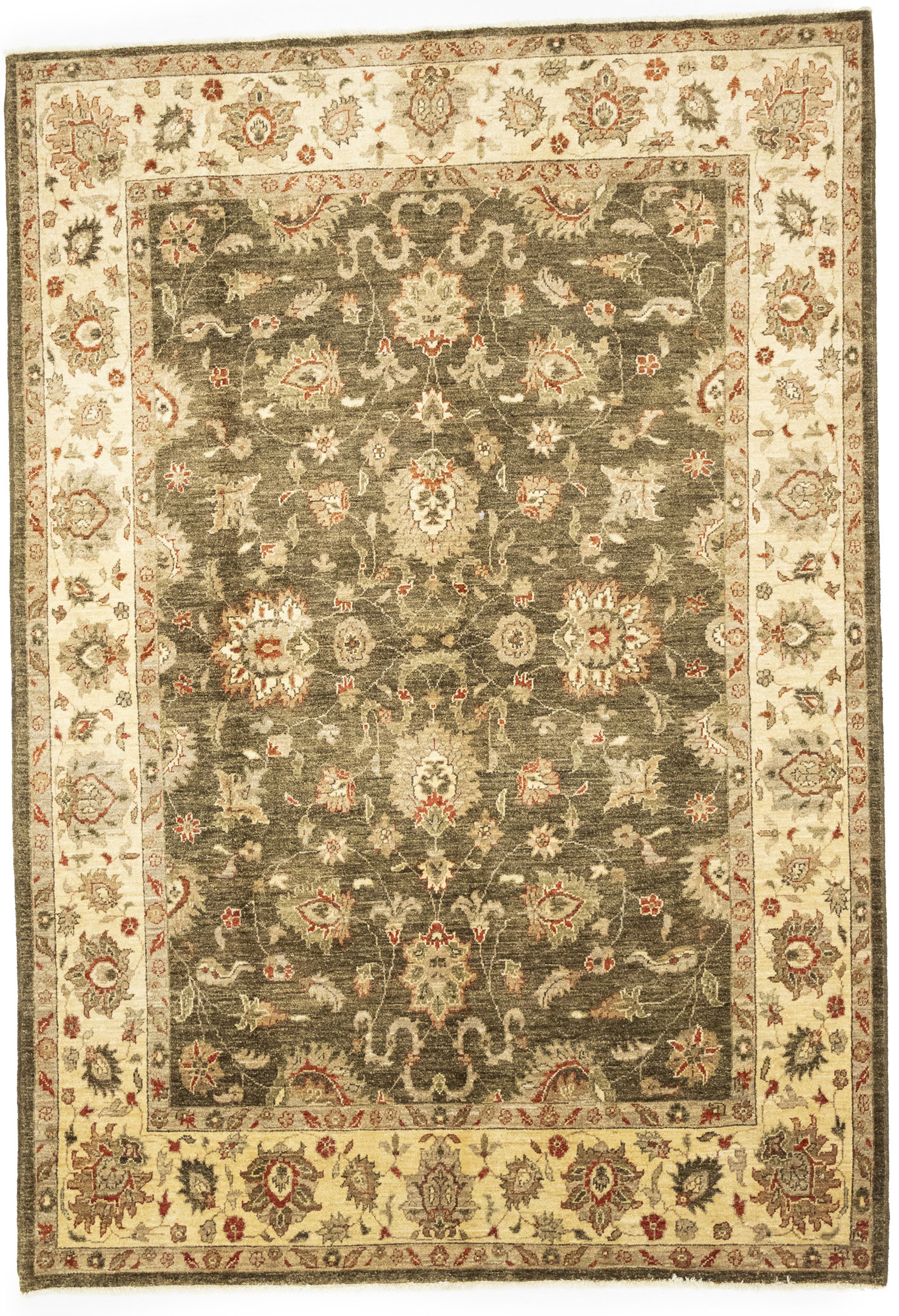 Wayfair Area Rugs 6x9