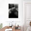 Lilie No 100, rue King-108443288