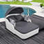 Lit de bronzage d'extérieur 79,9 "avec auvent réglable, lit de jour avec coussins-1168330998-1171480903