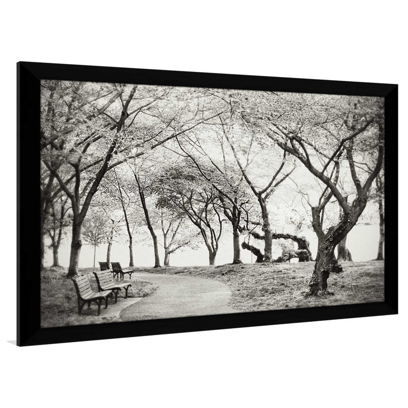 «Path Walk», reproduction de photo, H 27,5 po x l 39,5 po x P 0,75 po, Cadre noir