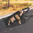 Dog Stroller Large Pet Stroller-70171467