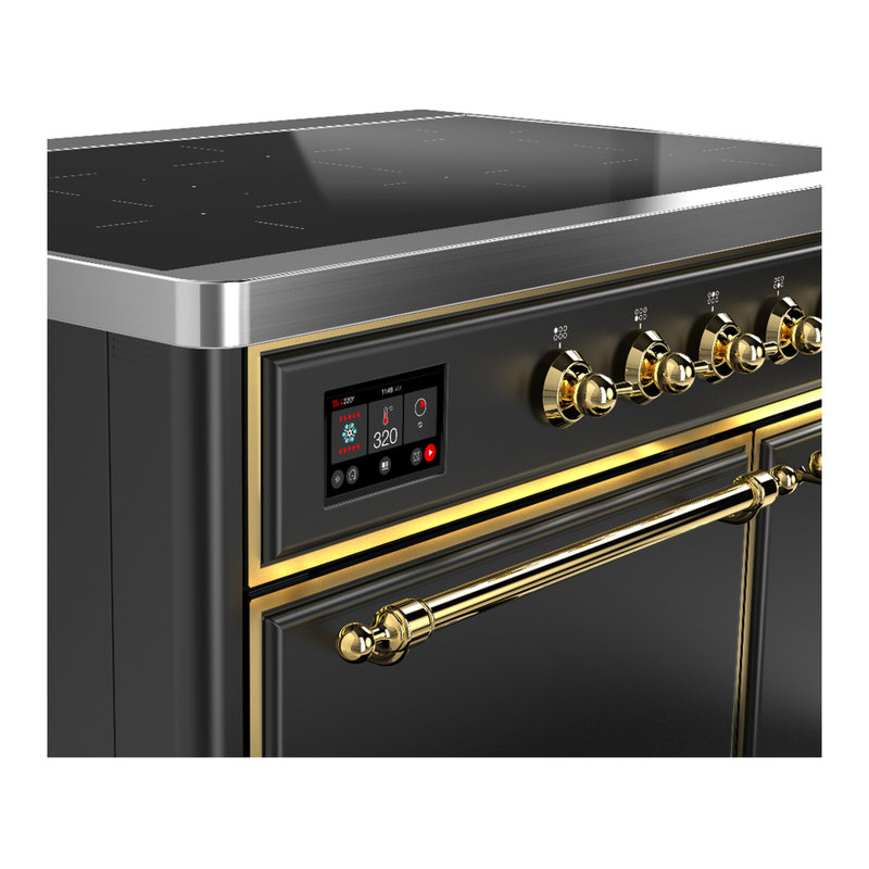 Cuisinière à induction de 40 pouces avec 6 éléments à induction en graphite mat Majestic III Series (garniture laiton)