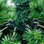 Victorian Artificial Pine Christmas Tree-90544852
