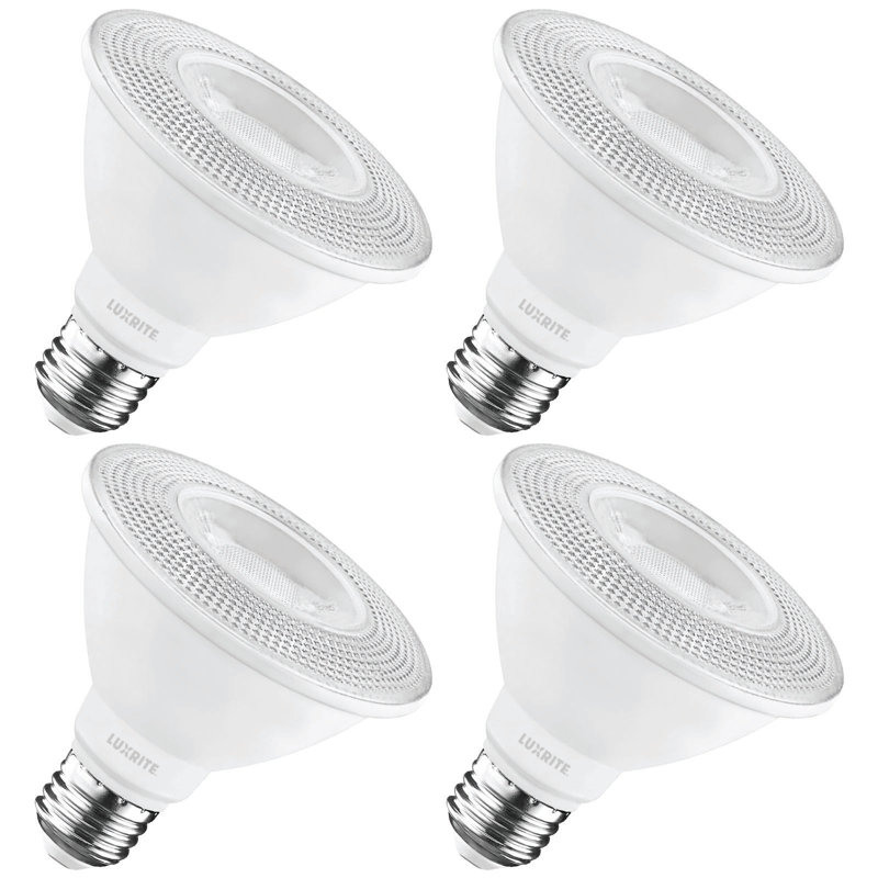 Ampoule DEL à intensité variable PAR30 E26 / moyenne (standard) de 75 watts, 2700