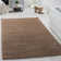 Braun Beige Indoor Rug