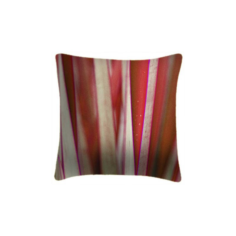Grass 4 - Ella Lancaster Cushion