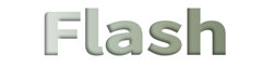 Flash logo