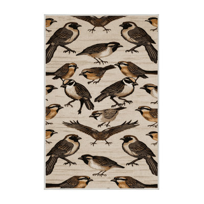  Tapis lavable Cape Sparrow Birds