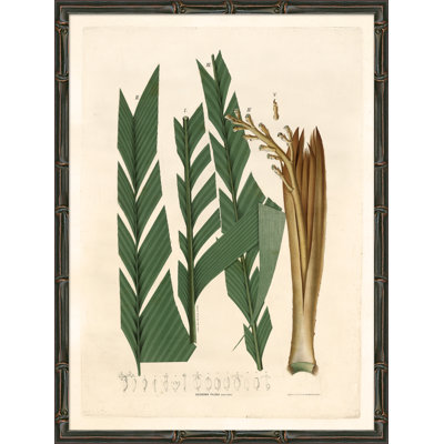 Palm Fronds Framed Graphic Art