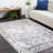 Oriental Indoor Rug-577719526