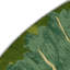 Tapis vert d'intérieur et d'extérieur Botanical-157536086