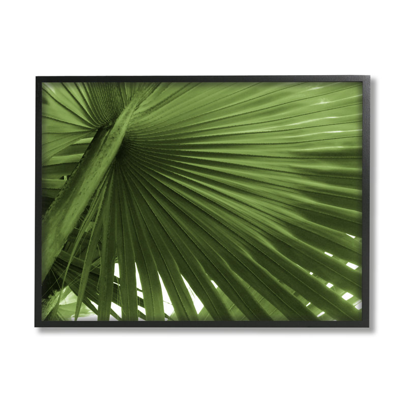 Gros plan sur une feuille de palmier, Giclée encadrée noir minuit, H 11 po x l 14 po x P 1,5 po