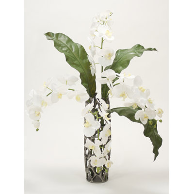 Polysilk Orchids Arrangement in Vase
