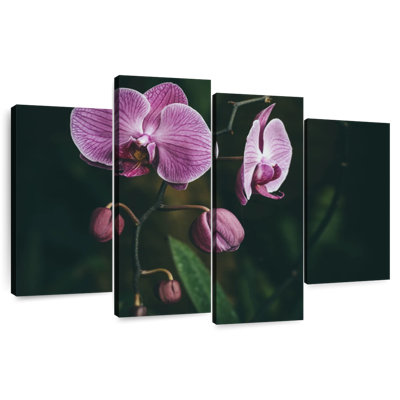 Fleurs d'orchidées Harnek