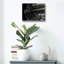 «Bonanzaville Antiques» par Gordon Semmens-102028295
