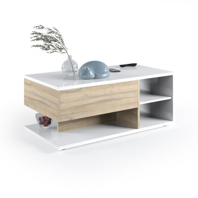 Evalynn Block Coffee Table with Storage