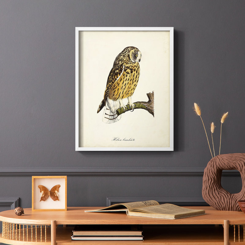 French Owls II, reproduction encadrée - bois massif, Blanc, H 20 po x l 16 po