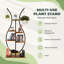 Support pour plante Asreiale