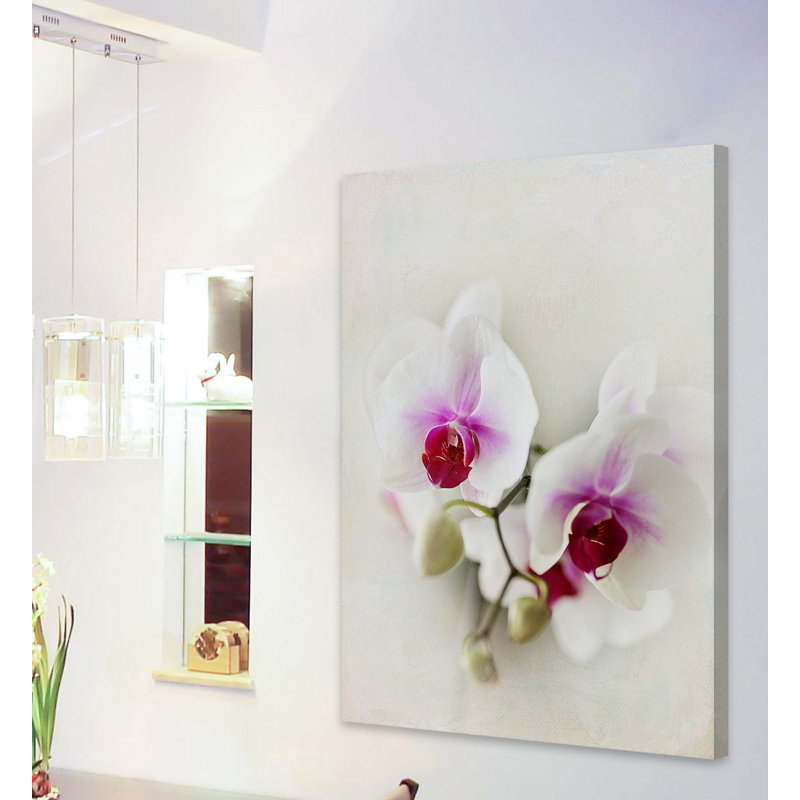 Sylvia Cook - Wrapped Canvas Print, 114cm H x 76cm W x 3.81cm D