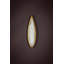 Havasu Wall Sconce
