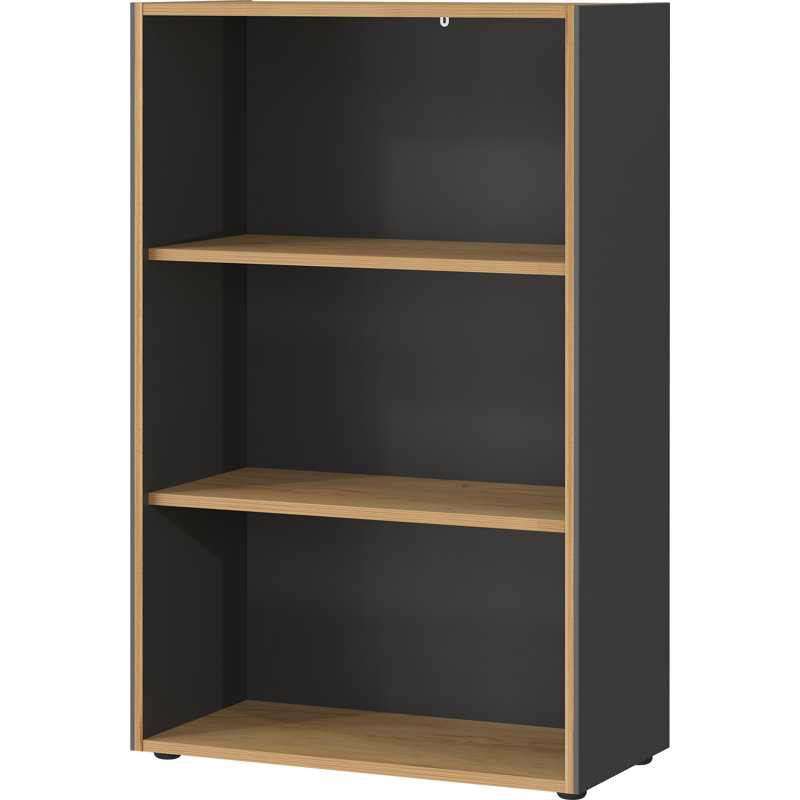 Astella 119.2cm H x 75cm W Standard Bookcase