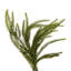 Couronne de pin verte 24 po.-479276923