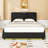 Upholstered Platform Bed with Bluetooth Speakers and LED Light-1409010228-1409010227
