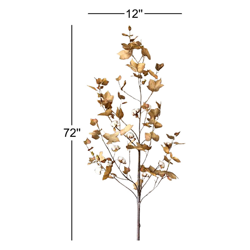 Cotton Stem