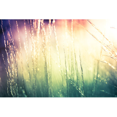 Abstract Wallpaper by Jeja - Wrapped Canvas Print